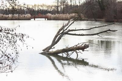 Cs?nak?z?-t? S?rv?ron.2026.01.02.Fot?:V?r?s Szil?rd-stock-foto