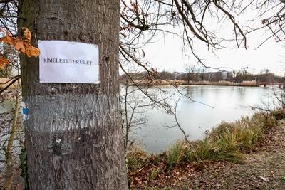 Cs?nak?z?-t? S?rv?ron.2026.01.02.Fot?:V?r?s Szil?rd-stock-foto