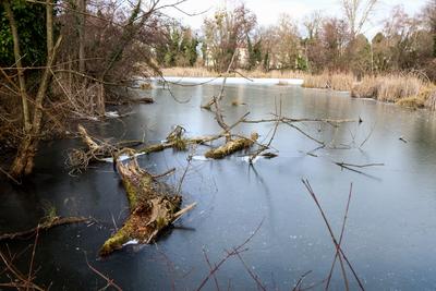 Cs?nak?z?-t? S?rv?ron.2026.01.02.Fot?:V?r?s Szil?rd-stock-foto