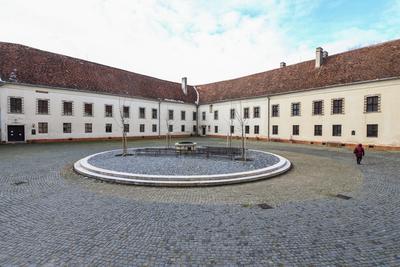 N?dasdy-v?r S?rv?ron.2026.01.02.Fot?:V?r?s Szil?rd-stock-foto