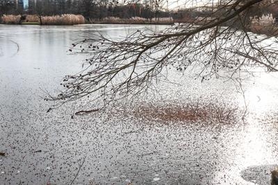 Cs?nak?z?-t? S?rv?ron.2026.01.02.Fot?:V?r?s Szil?rd-stock-foto