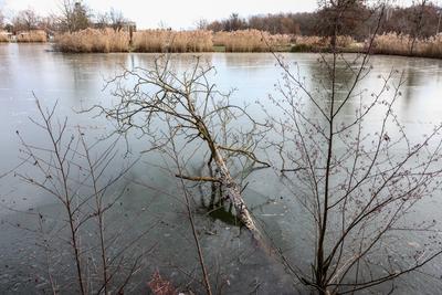 Cs?nak?z?-t? S?rv?ron.2026.01.02.Fot?:V?r?s Szil?rd-stock-foto