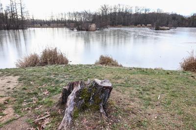 Cs?nak?z?-t? S?rv?ron.2026.01.02.Fot?:V?r?s Szil?rd-stock-foto