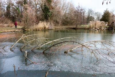 Cs?nak?z?-t? S?rv?ron.2026.01.02.Fot?:V?r?s Szil?rd-stock-foto