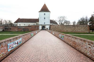 N?dasdy-v?r S?rv?ron.2026.01.02.Fot?:V?r?s Szil?rd-stock-foto