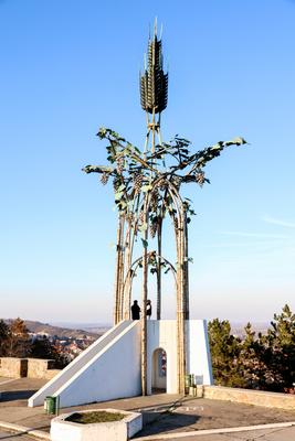 Kil?t? Szeksz?rdon.2026.02.28.Fot?:V?r?s Szil?rd-stock-foto