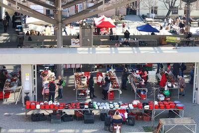 Termel?i piac Szeksz?rdon.2026.02.28.Fot?:V?r?s Szil?rd-stock-foto