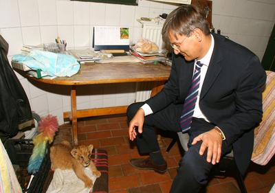 Persányi Miklós visszatérhet az állatkertbe-stock-foto