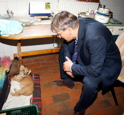 Persányi Miklós visszatérhet az állatkertbe-stock-foto