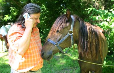 Badár Sándor-stock-foto