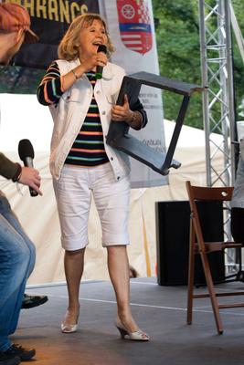 Pozsonyi Piknik-stock-foto