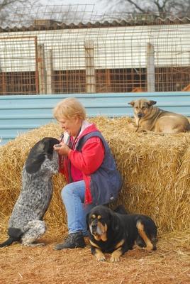 Gál Tiborné-stock-foto