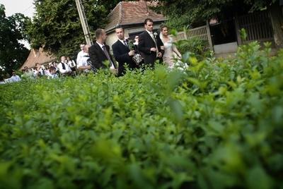 Szerb esküvő-stock-photo