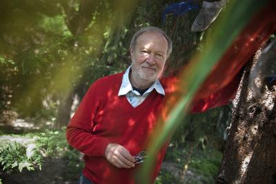 Juhász Árpád-stock-foto