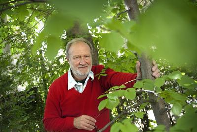 Juhász Árpád-stock-foto