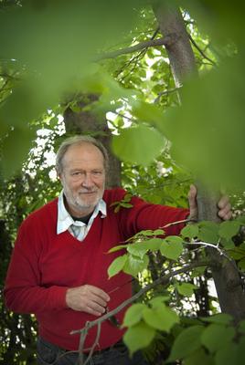 Juhász Árpád-stock-foto