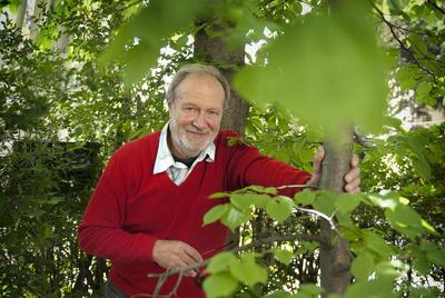 Juhász Árpád-stock-foto