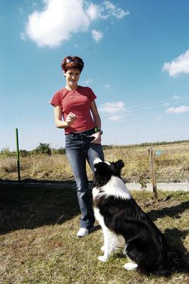 Vörös Zsuzsa-stock-foto