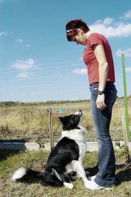 Vörös Zsuzsa-stock-foto