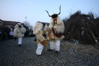 Busójárás 2009-stock-foto