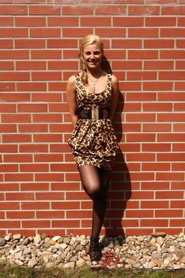 Diplomatavadász - új sorozat a Duna Televízión-stock-foto