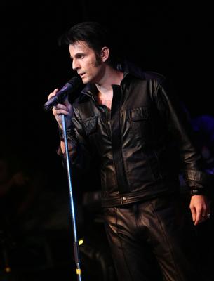 Elvis Country Tour 2009 &#39;Magyarország / Az Elvis-történet /-stock-foto