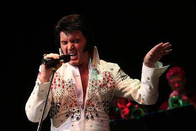 Elvis Country Tour 2009 &#39;Magyarország / Az Elvis-történet /-stock-foto