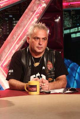 Az Esti Frizbi felvétele-stock-foto