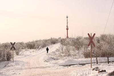 Normafa télen-stock-foto