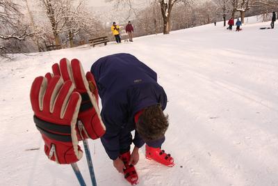 Normafa télen-stock-foto