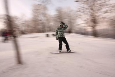 Normafa télen-stock-foto