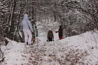 Normafa télen-stock-foto