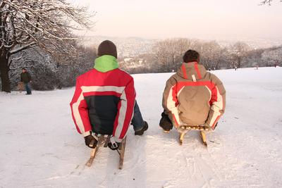 Normafa télen-stock-foto