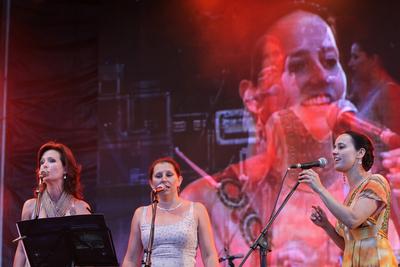 Cseh Tamás emléknap - Sziget Fesztivál 2010-stock-foto