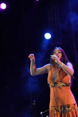 Cseh Tamás emléknap - Sziget Fesztivál 2010-stock-foto