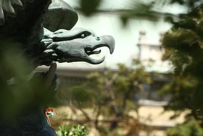 Turulszobor a XII. kerületben-stock-foto