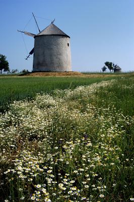 Tési Szélmalmok-stock-foto