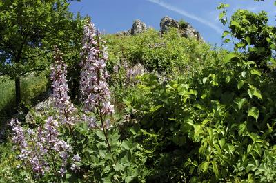 Tihany, Nyereg-hegy-stock-foto