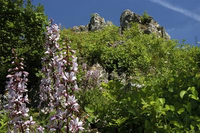 Tihany, Nyereg-hegy-stock-foto