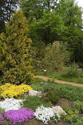 A Zirci Arborétum tavasszal-stock-foto