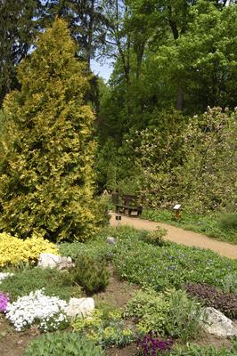 A Zirci Arborétum tavasszal-stock-foto