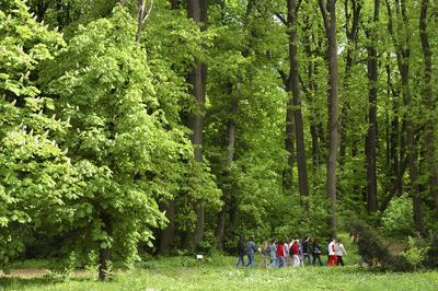 A Zirci Arborétum tavasszal-stock-foto