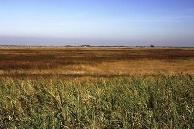 Hortobágy-stock-foto