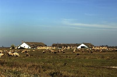 Hortobágy-stock-foto