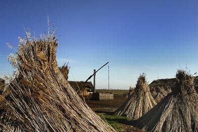 Gémeskút a Hortobágyon-stock-photo