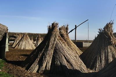 Gémeskút a Hortobágyon-stock-photo