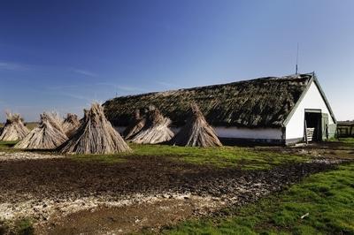 Hortobágy-stock-foto