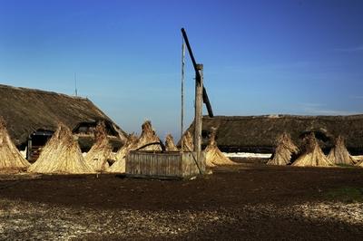 Gémeskút a Hortobágyon-stock-photo