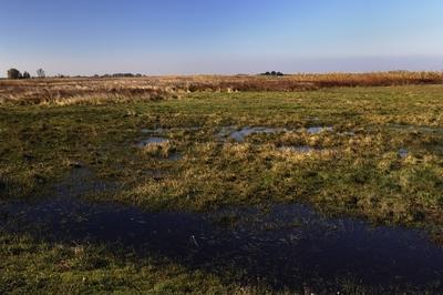 Hortobágy-stock-foto