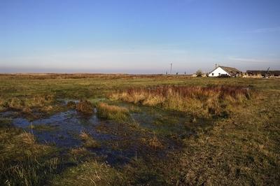 Hortobágy-stock-foto